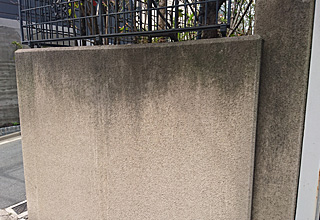 �������O