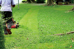 �Ŋ���E�G���΍�